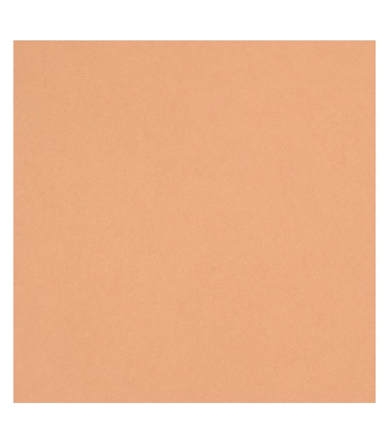 TRU-RAY® CONSTRUCTION PAPER 9" X 12" TAN COLOR, 50 SHEETS