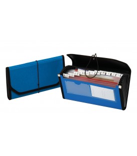 PENDAFLEX 13 POCKET FILE, PROFESSIONAL ORGANIZING, POLY EXPANDING