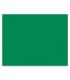 PACON® RAILROAD BOARD, 22" X 28", 4-ply, HOLIDAY GREEN