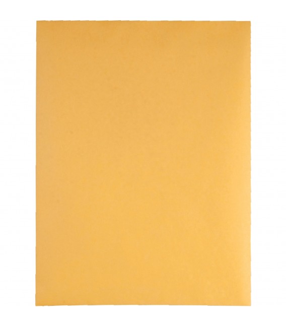 QUALITY PARK® BROWN KRAFT ENVELOPES, 9" X 12", REDI-STRIP®, 100 EACH