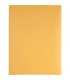 QUALITY PARK® BROWN KRAFT ENVELOPES, 9" X 12", REDI-STRIP®, 100 EACH