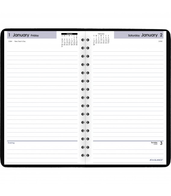 AT-A-GLANCE® DAYMINDER BAISIC, DAILY PLANNER, 1 EACH