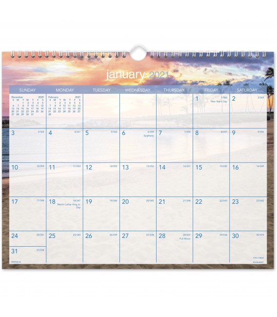 AT-A-GLANCE® 2021 TROPICAL ESCAPE MONTHLY WALL CALENDAR, 1 EACH
