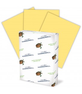 HAMMERMILL® SUPER-PREMIUM PAPER, BUFF COLOR, 500 SHEETS/REAM