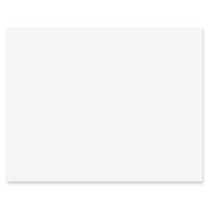 PACON® RAILROAD BOARD, 22" X 28", 4-ply, WHITE
