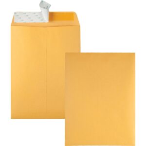 QUALITY PARK® BROWN KRAFT ENVELOPES, 9" X 12", REDI-STRIP®, 100 EACH