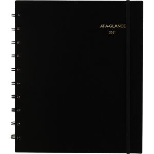AT-A-GLANCE® MOVE-A-PAGE WEEKLY/MOUNTHLY APPOYMENT BOOCK, 1 EACH