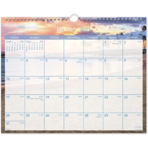 AT-A-GLANCE® 2021 TROPICAL ESCAPE MONTHLY WALL CALENDAR, 1 EACH